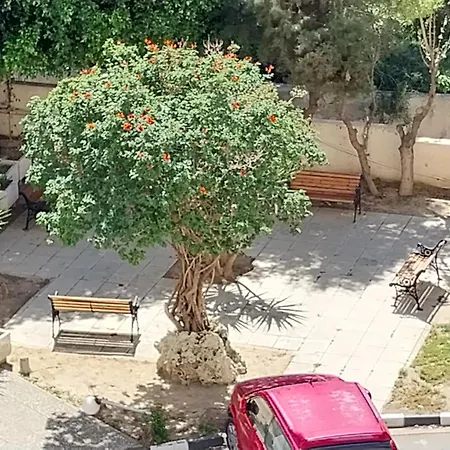 Apartment Mikis's Seagate Aprt.